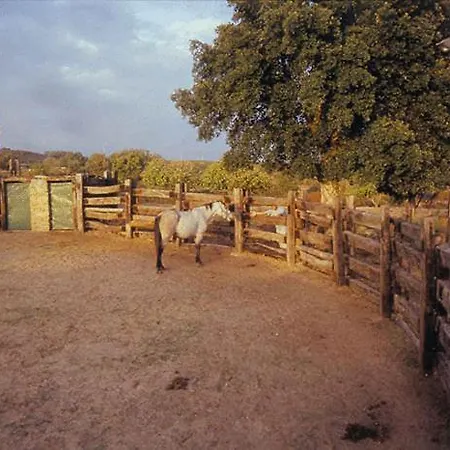 Valvellidos Jaraiz de la Vera